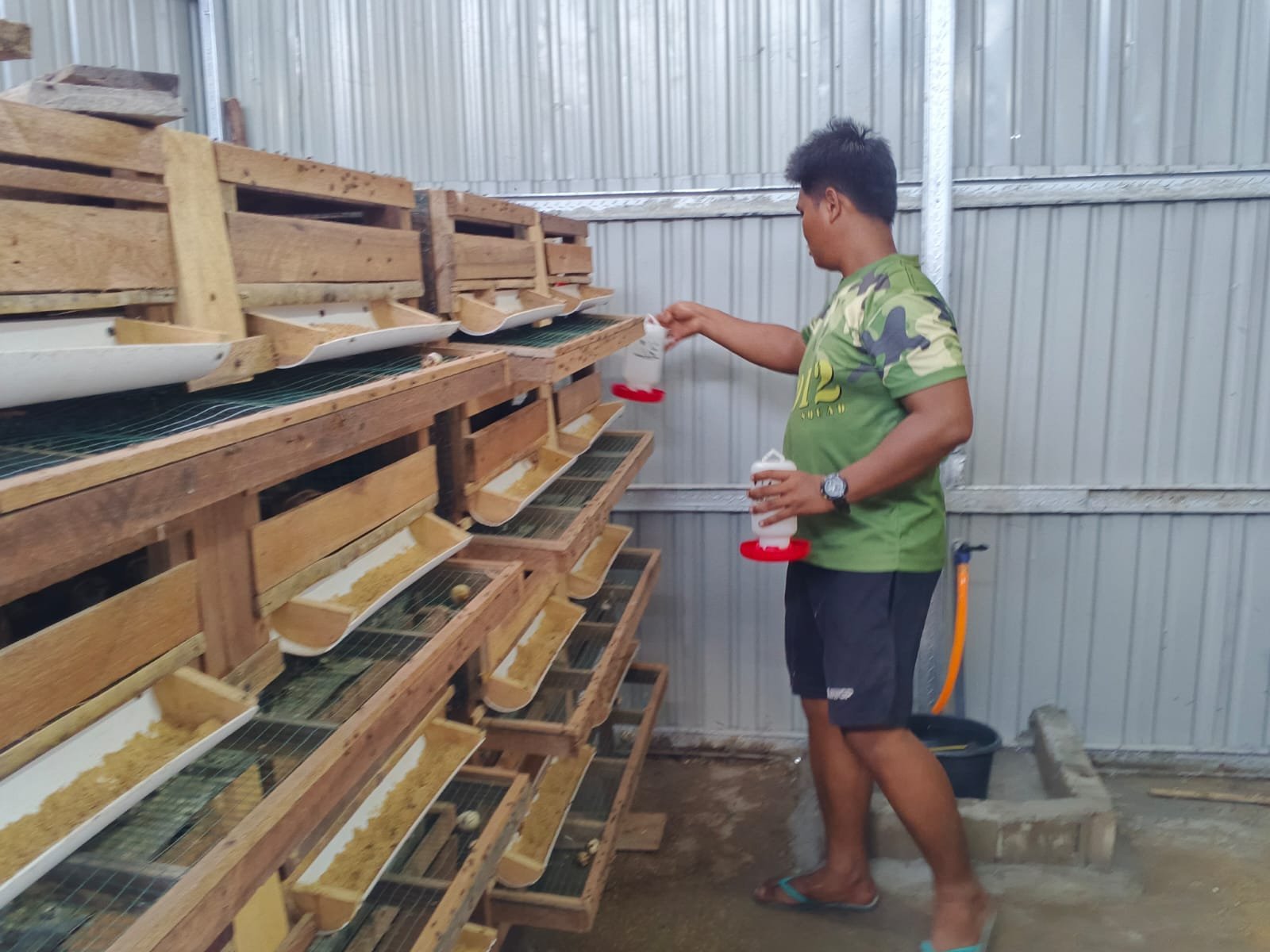 Pemberian Makan dan Minum Burung Puyuh oleh Satgas TMMD di Lokasi Ketahanan Pangan Sababillah