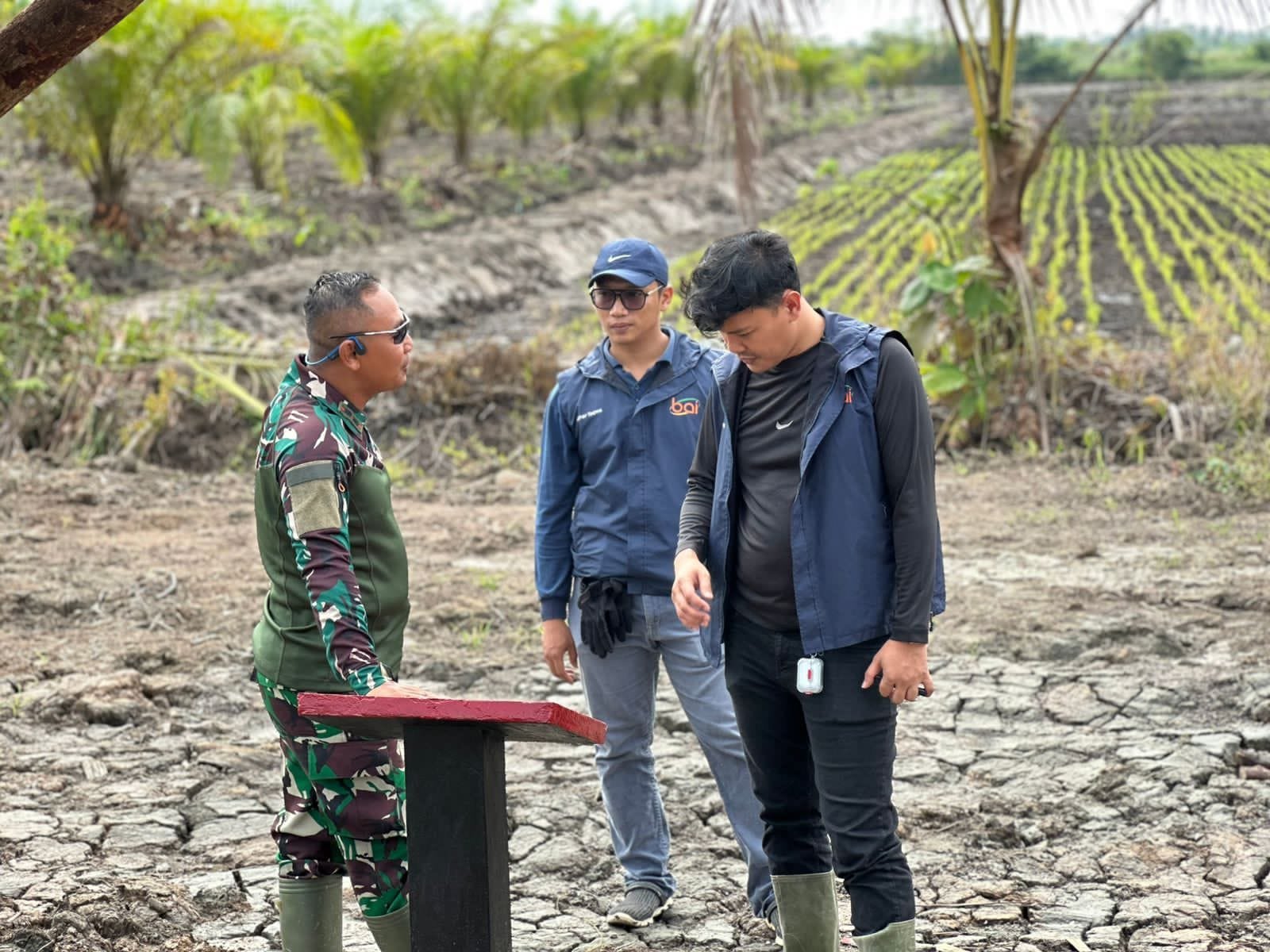 Tim CSR PT. BAI Terkesan, Demplot TMMD Jadi Simbol Ketahanan dan Harapan Masyarakat Desa