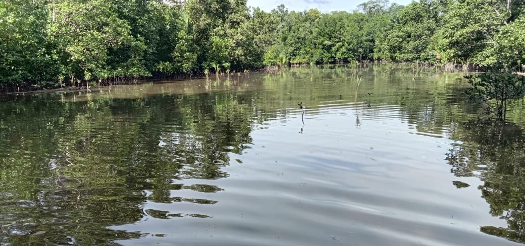 Cegah Abrasi, Danramil Napan Gandeng Warga Siapkan Lahan Mangrove di TMMD ke-125
