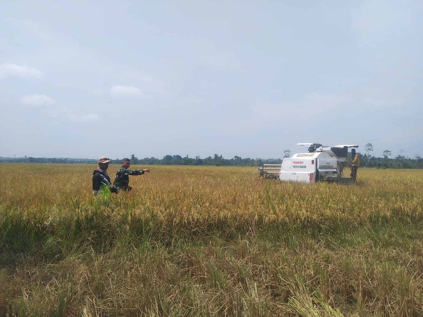 Bantuan Babinsa Tingkatkan Motivasi Petani di Paya Leupah